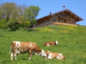 Huberbauernhof