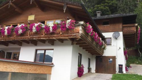 Hundepension Almfrieden