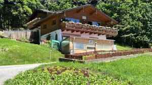 Hundepension Almfrieden