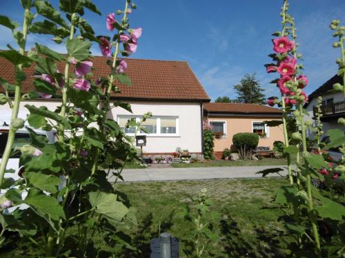 Idyllisch gelegene Ferienunterkuen