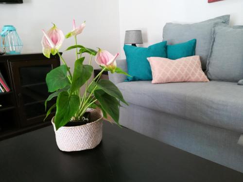 Inema Beach House Iberlagos