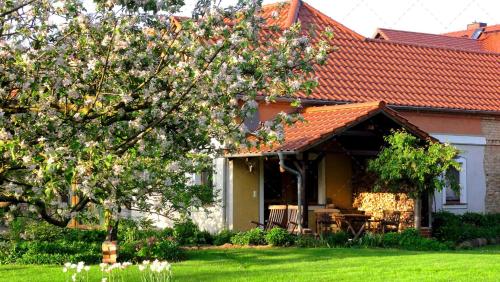JANISCHs Fewo im Spreewald