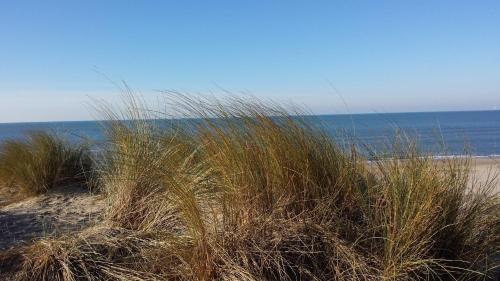 Joussac Côté Plage - Protocole sanitaire strict