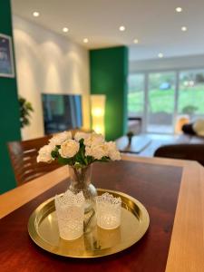 JUNIPRO Apartments Haustadt