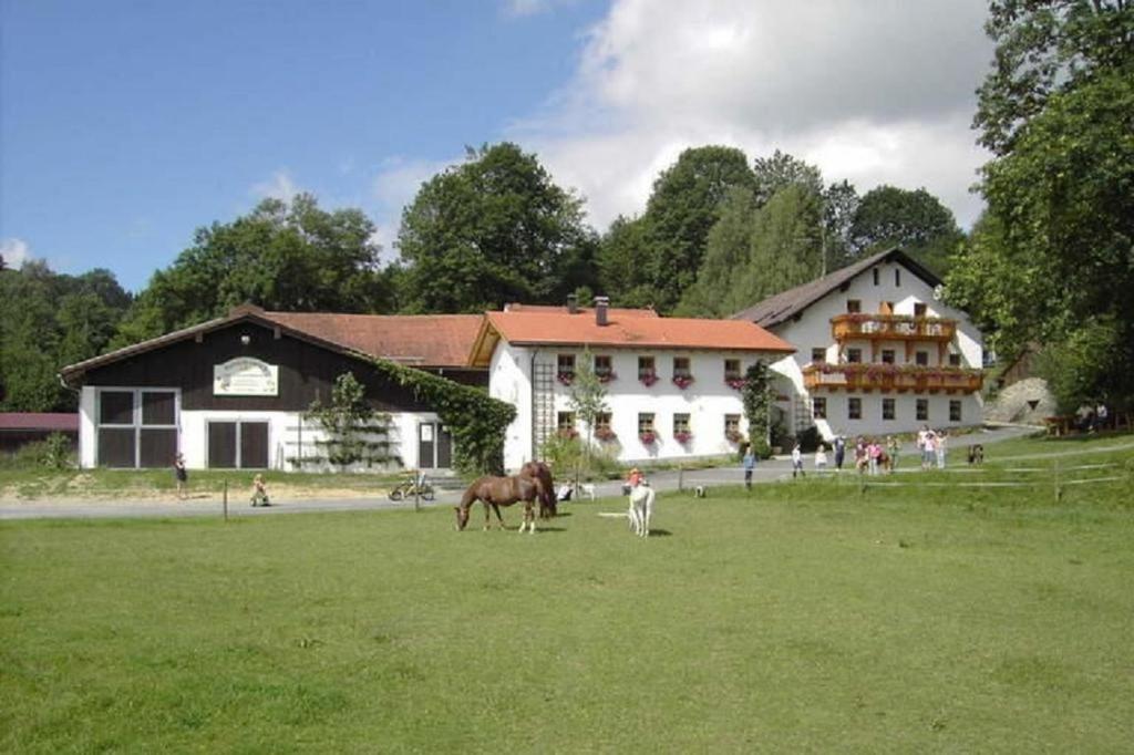 Appartements Kinderparadies Habernberger Hof Habernberg 1 94513 Schönberg