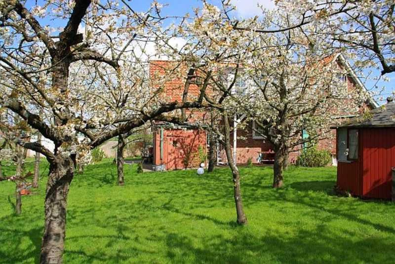 Knubberhaus Das Ferienhaus im Kirs Lühedeich 4, 21720 Steinkirchen