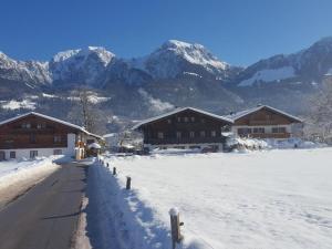 Krennlehen