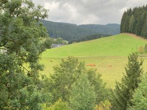 Appartements Kuckucksnest Jostal Jostalstr. 90 79822 Titisee-Neustadt Bade-Wurtemberg