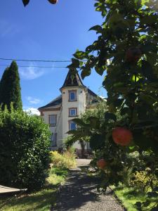 Appartements l'âROMEantic 3, rue du Bambois 67570 Rothau Alsace