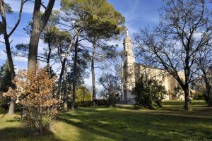 Appartements La Gardiolle - Mas des Cigales Lieu dit Notre Dame de la Gardiolle 30170 Conqueyrac Languedoc-Roussillon