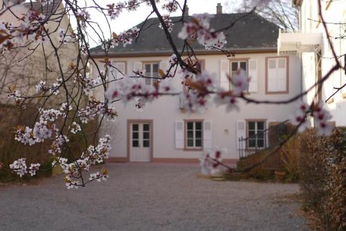 La Maison Carré
