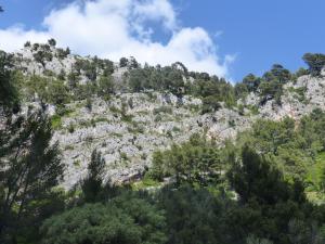Appartements La Nevet's 1295 Route des Gorges 83190 Ollioules Provence-Alpes-Côte d\'Azur