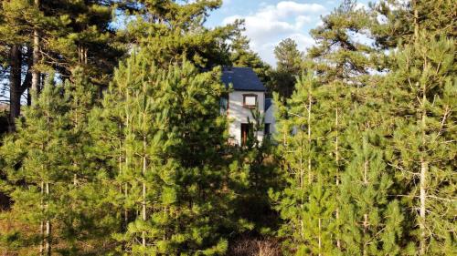 La villa dans les pins