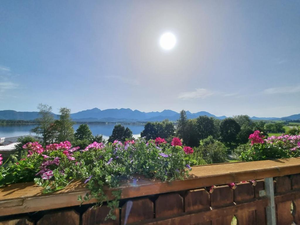 Landhaus Amberg Hopfen am See // Hopfensee // Füssen 3 Vilsersteige, 87629 Füssen