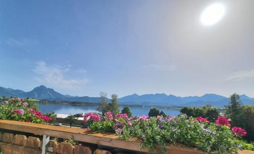 Landhaus Amberg Hopfen am See // Hopfensee // Füssen