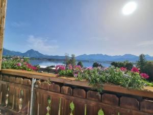 Landhaus Amberg Hopfen am See // Hopfensee // Füssen