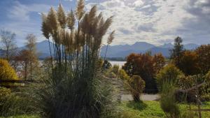 Landhaus Amberg Hopfen am See // Hopfensee // Füssen