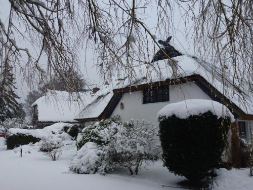 Landhaus Darss