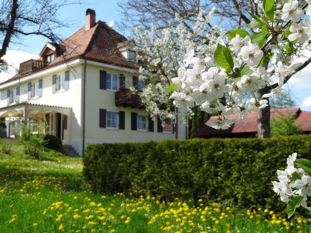 Landhaus Löwenzahn Obere Hauptstrasse 43, 87782 Unteregg