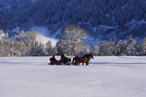 Appartements Landhaus Marie Marienstrasse 16 87645 Schwangau Bavière