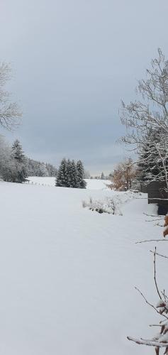 Landhaus Schnorrenberg, Wellness & Nature