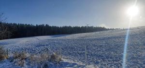Landhaus Schnorrenberg, Wellness & Nature