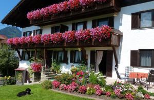 Appartements Landhaus Ücker Oberdorf 18 87538 Obermaiselstein Bavière