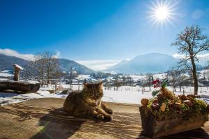 Appartements Langerbauer-Hof Obergschwendt 5 83324 Ruhpolding Bavière