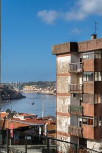 Large Colourful Flats - Ace Location