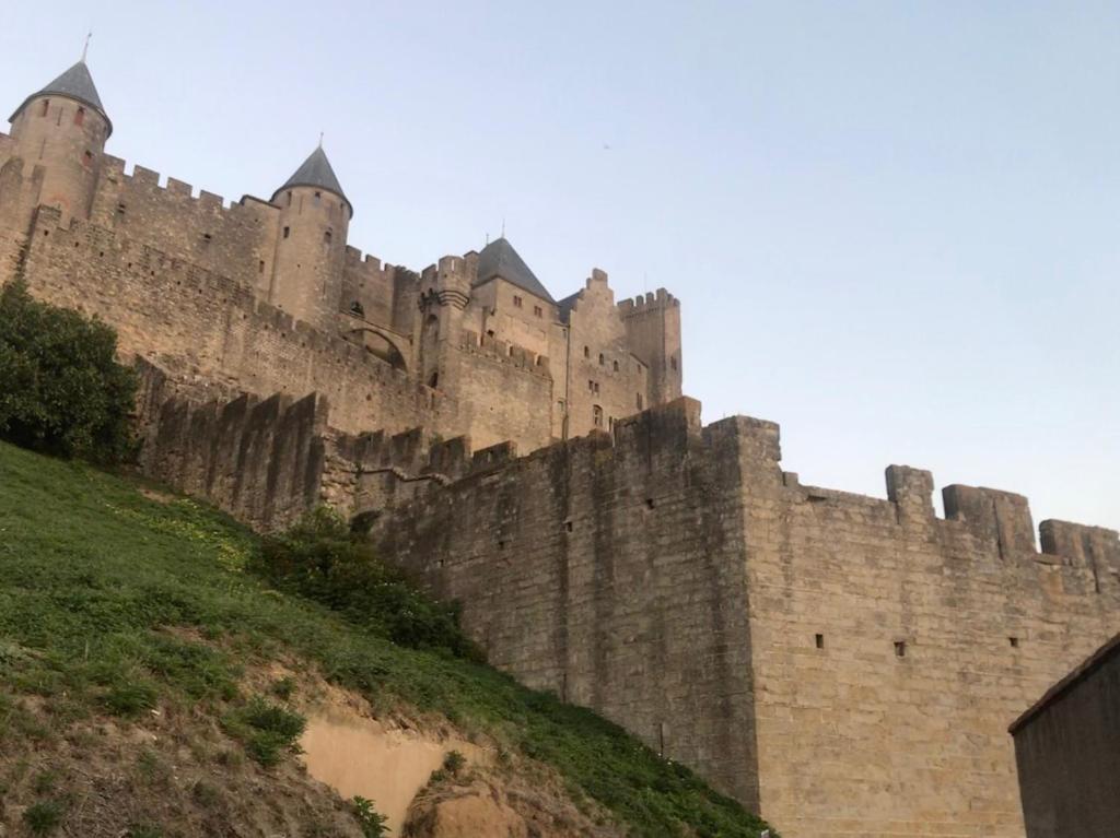 Le Clos Saint Michel 65 bis rue Aimé Ramond, 11000 Carcassonne