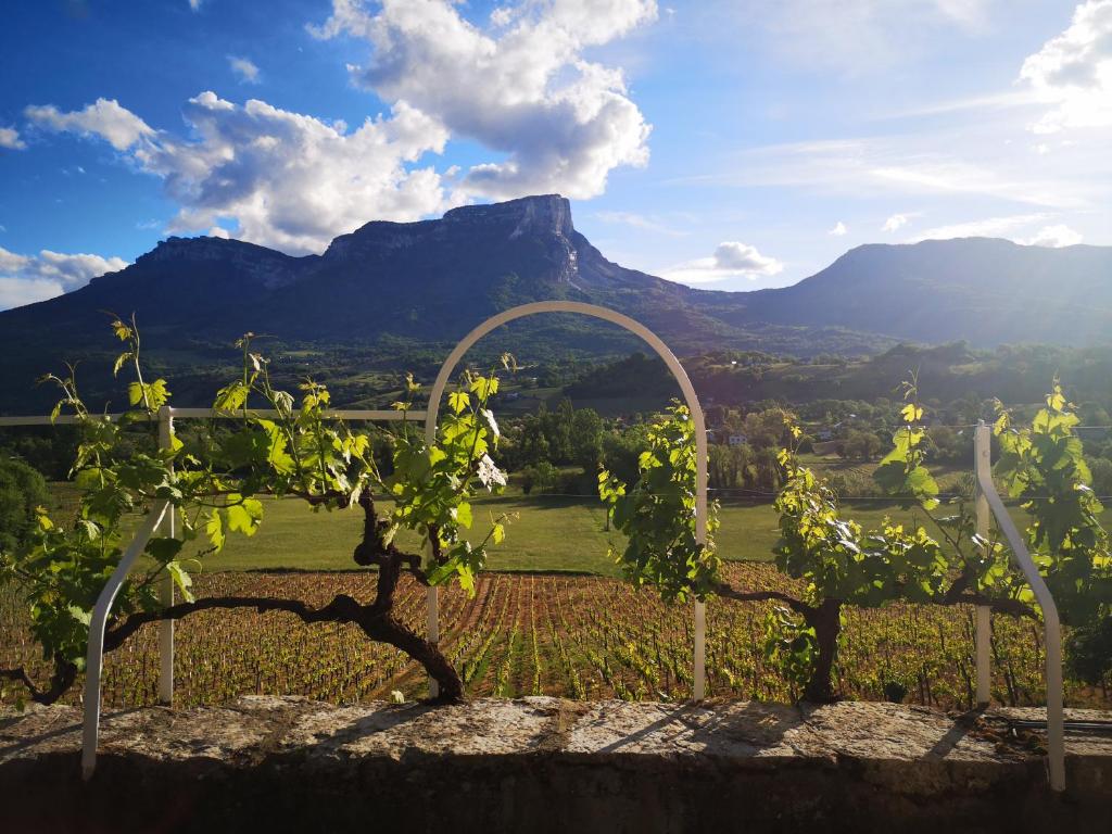 Le Haut des Vignes - Domaine des Granges Longes 401 Route de Myans, 73800 Les Marches