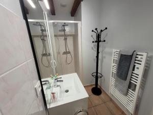 Appartements Le petit monas Impasse des Rivaux 86320 Civaux -1