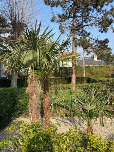 Le Studio De Deauville Plage