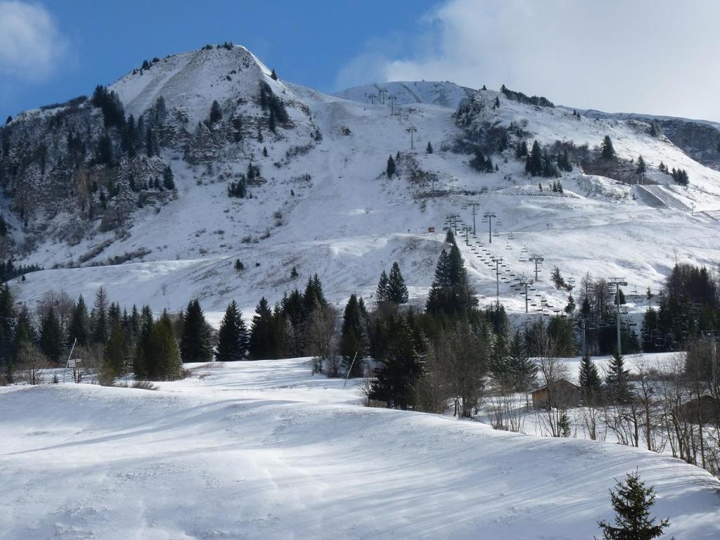 Les Amborzales 7195 Route du Chinaillon, 74450 Le Grand-Bornand