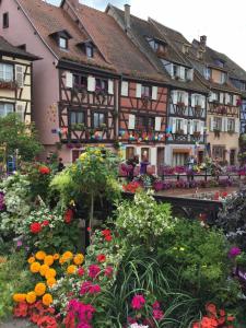 Les Appartements de Home Petite Venise