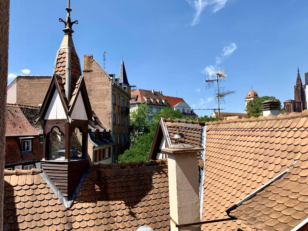 Les Appartements du Renard 3 Rue du Renard Prêchant, 67000 Strasbourg