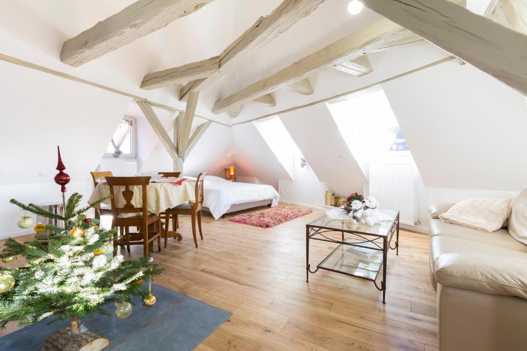 Appartements Les Appartements Saint Nicolas 8,rue des serruriers 68000 Colmar