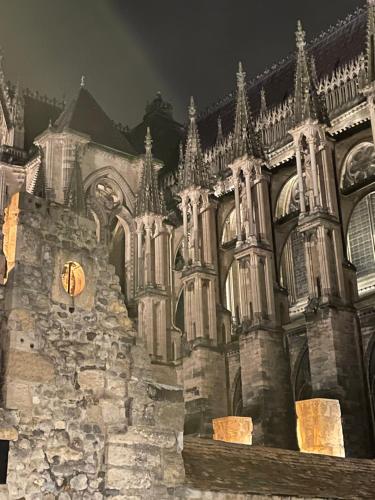 Les Berceaux de la Cathedrale
