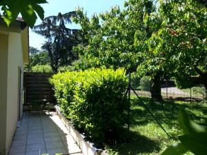 Les Cerisiers