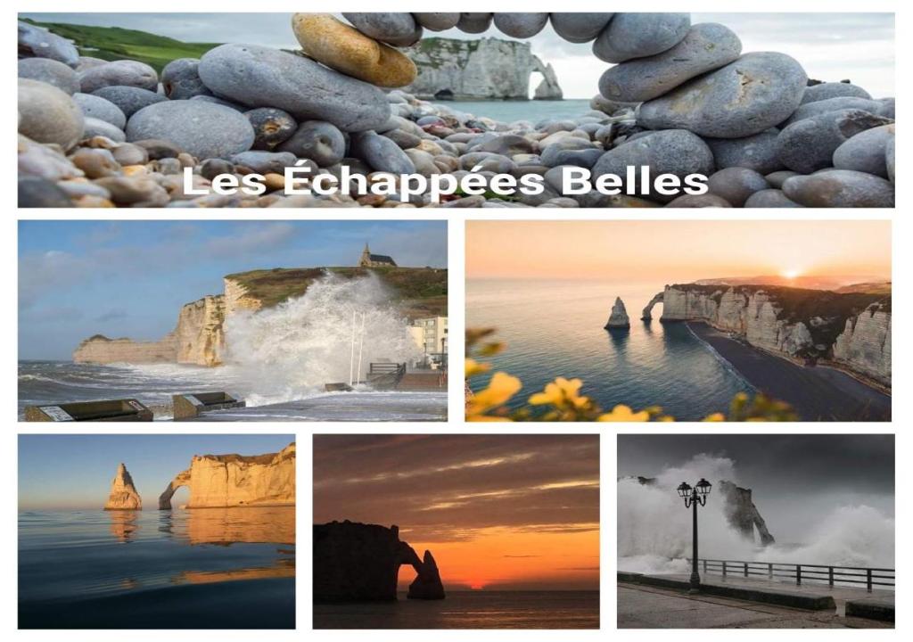 Appartements Les Echapées belles 29 Rue Alphonse Karr 76790 Étretat