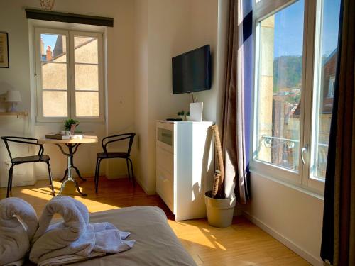Les Fabuleux appartements du Coeur de ville - Place Victor Hugo