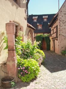 Appartements Les Gîtes Coeur de Vigne 10 rue des Ecuries Seigneuriales 68340 Riquewihr Alsace