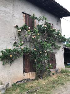 Les Granges du Pichat