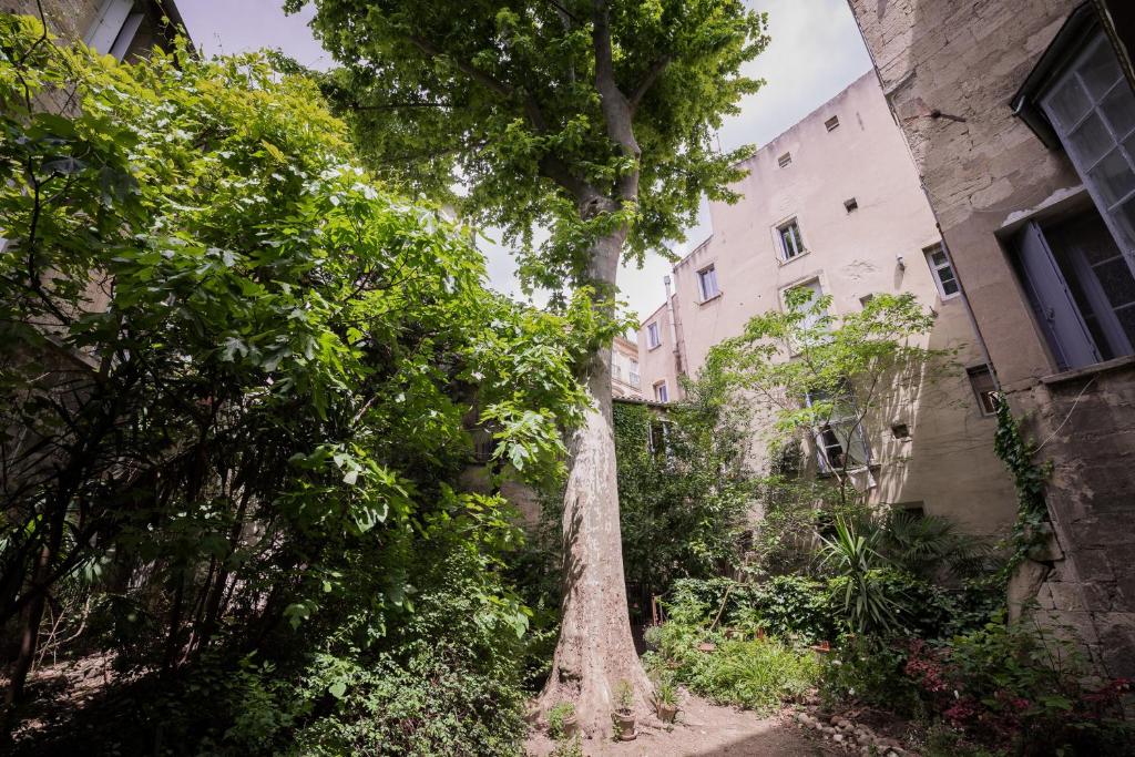 Les Jardins De L´Ecusson - Première Conciergerie 10 Grand Rue Jean Moulin, 34000 Montpellier