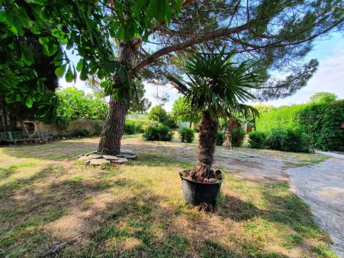 Les Jardins de la Majore