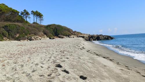 Les jardins de la mer marine de bravone - pour 4 pax plus 2 enfants piscine coté mer