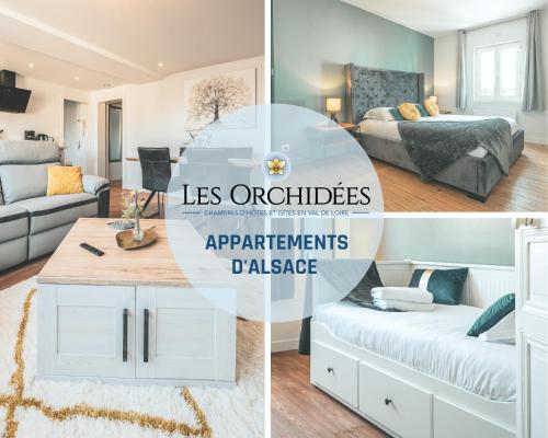 Appartements Les Orchidées D'Alsace SAUMUR Saumur france