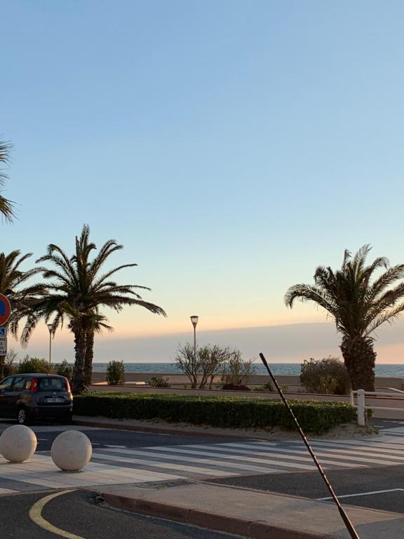 Les pieds dans l eau Les terasses levants, 66140 Canet-en-Roussillon