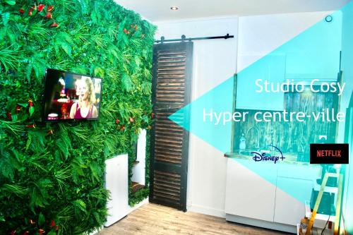 Les studios de l'hyper centre ville