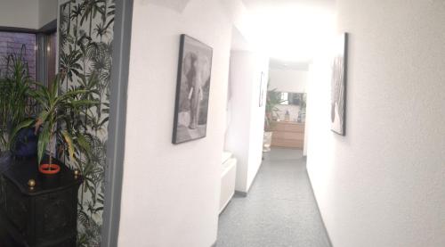 Les studios du frankenthal